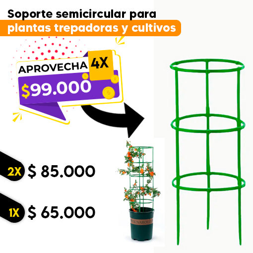 🤩Jaula soporte para plantas💐