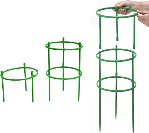 🤩Jaula soporte para plantas💐