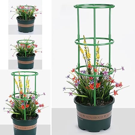 🤩Jaula soporte para plantas💐