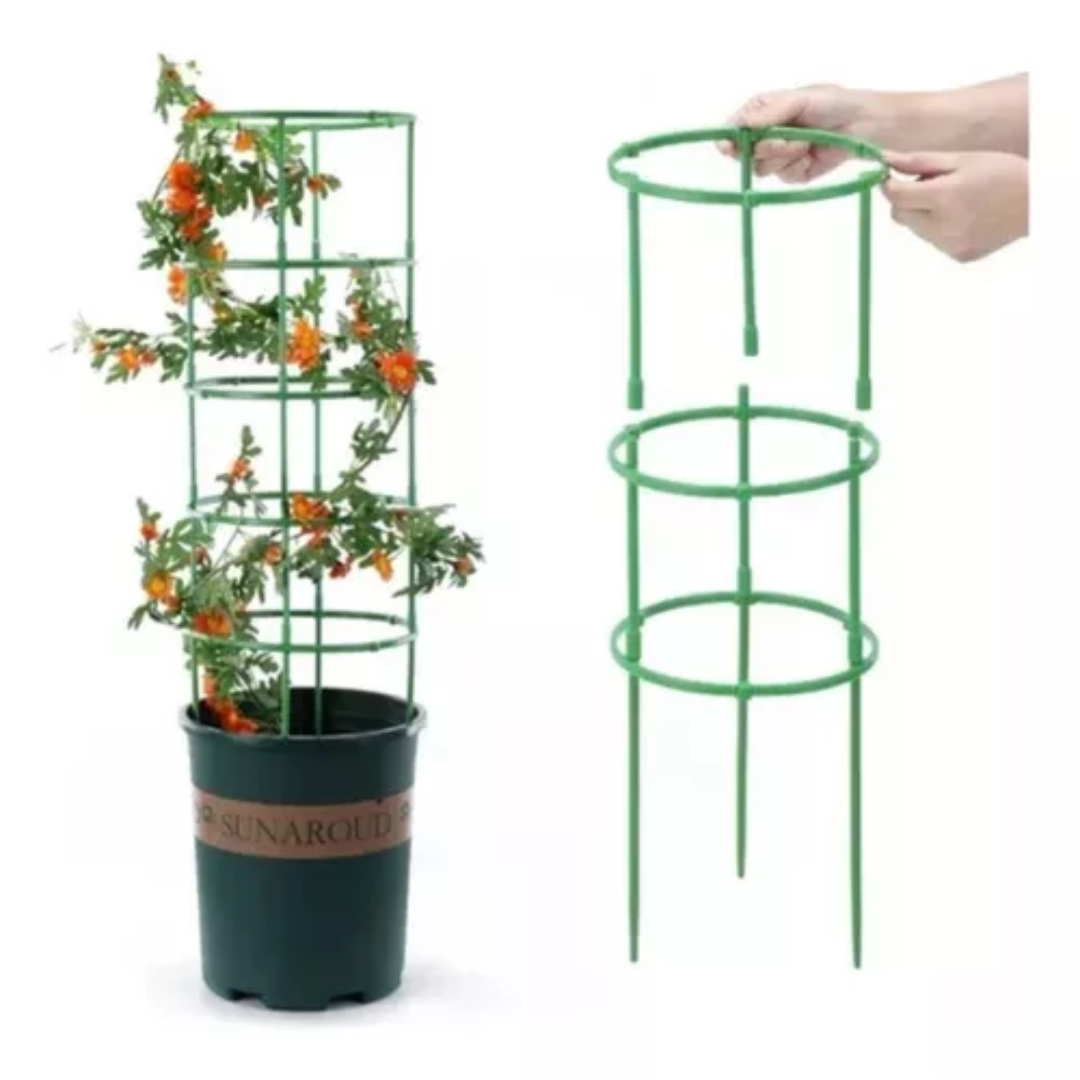 🤩Jaula soporte para plantas💐